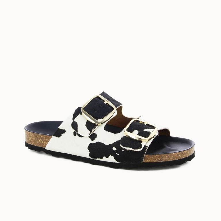 MULE EBONY Cow