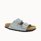 MULE JELICA