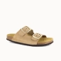 MULE JELICA