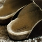 CLOG SILVANA